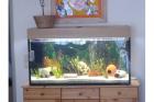 Verkaufe wegen umzug mein 200 lieter becken