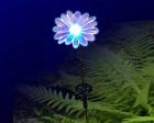 LED Solarleuchte Schmetterling mit Farbwechseleffekten