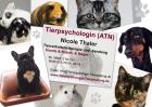 Problemhilfe für Tierbesitzer - Fachrichtung Hunde Katzen Nager