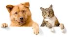 Online Shop für Hundefutter Katzenfutter Ergänzungsmittel und Tierbedarf