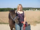 Suche Reitbeteiligung in Nürnberg und Umgebung