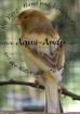 Serinus canaria - Kanarienvogel pro Vogel 15 00 EUR