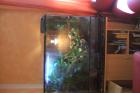 Terrarium mit Unterschrank Leuchten und einer großen Wurzel