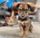 Sally sucht ein passendes Zuhause