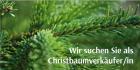 Weihnachtsbaumverkäufer für Dezember München und Umgebung