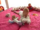 PERSERBABYS MIT PAPIERE 350 Euro