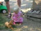 Magyar Vizsla Welpen