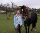 Suche Ferienjob mit Pferden
