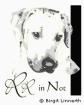 Ridgeback in Not. Wir helfen