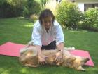 Hundesitting tageweise stundenweise in Mainz