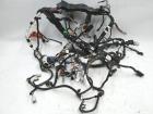 Elektrische Verkabelung unter der Motorhaube AWD Tesla Modell 3 1567964-01-C