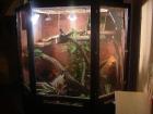Großraumterrarium 2 x 1 5 x 2 m
