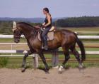 Möchte denn niemand reiten