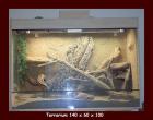 Terrarium 140x 60 x 100 hochwertig