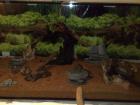 Aquarium 200 x 60 x 70 cm