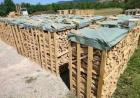 Brennholz bereits trocken gespalten 50Euro Eiche Buche Birke