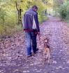 Aris dieser hübsche Hundejunge hatte noch nie ein eigenes Zuhause