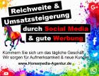 Erstellung von Homepage Instagram und Facebook