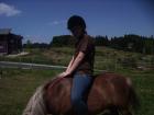 Suche dringend eine RB