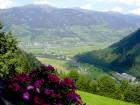 Schaut doch mal bei uns rein Österreich /Land Salzburg/Uttendorf