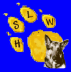 Hundeschule Wiesbaden Active-Dog. Harmonie Mensch - Hund. Mainz Taunusstein