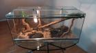 Reptilien-Terrarium