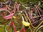 Fahrradabholung Entsorgung kostenlos z. B. für Hausverwaltungen