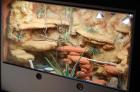 2 x Wüsten-Terrarien 1x Innen-Terra. Beleuchtung 1x Außen Terra für Bartaga