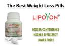 Lipovon Promotion - Fit Ihren Sommer