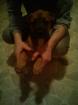 Boxermischling