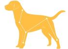Hunde-Massage-Seminar für Hundehalter Januar 2022