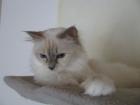 Chantal sucht liebe Menschen