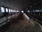 Kapitalanlage Stallgebäude für Hühner Schweine Kühe