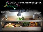 Holzterrarien 80 100 oder 120 cm lang NEU