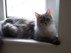 Dringend ein neues Zuhause gesucht