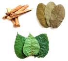 Versch. Naturfutter / Laub als Futter für Garnelen Krebse Apfelschnecken Welse