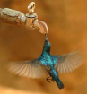 Trinkwasser quellfrisch und rein