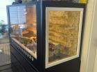 Leopardgecko Gruppe 8 Tiere mit Terrarium