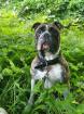 Junger OEB sucht dich