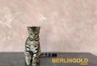 Noch ein Bengal- Kätzchen von BERLINGOLD abzugeben