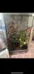 Terrarium für Echsen Chamäleon etc