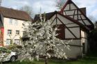 Historisches renoviertes Bauernhaus mit guter Ausstattung zu vermieten