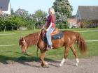 Westerngerittene Deutsche Reitponystute zu verkaufen