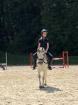 Reitbeteiligung in Wuppertal an einem Freizeitpferd gesucht