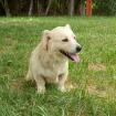 Nancy / Status sucht ein Zuhause