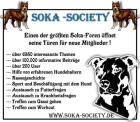 Internationaler Forenkreis