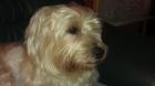 Suche dringend neues zu Hause