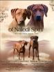 Rhodesian Ridgeback Welpen - Wurferwartung Januar 2023