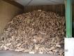 Brennholz Kaminholz Reine Buche SRM 55 Euro Lieferung Gratis