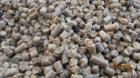 Verkauf von Einstreupellets Strohpellets Holzpellets